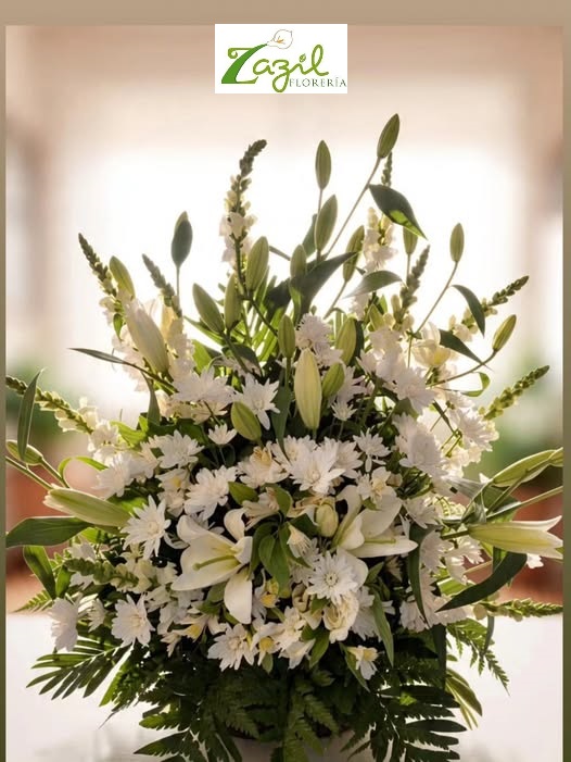 Clave 206 Arreglo blanco